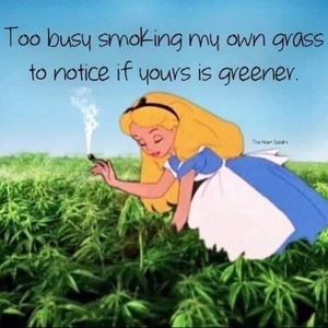 Meet your Posher, Debi